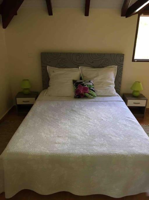 Beautiful Arpartment For 2 Apartman Deshaies Kültér fotó